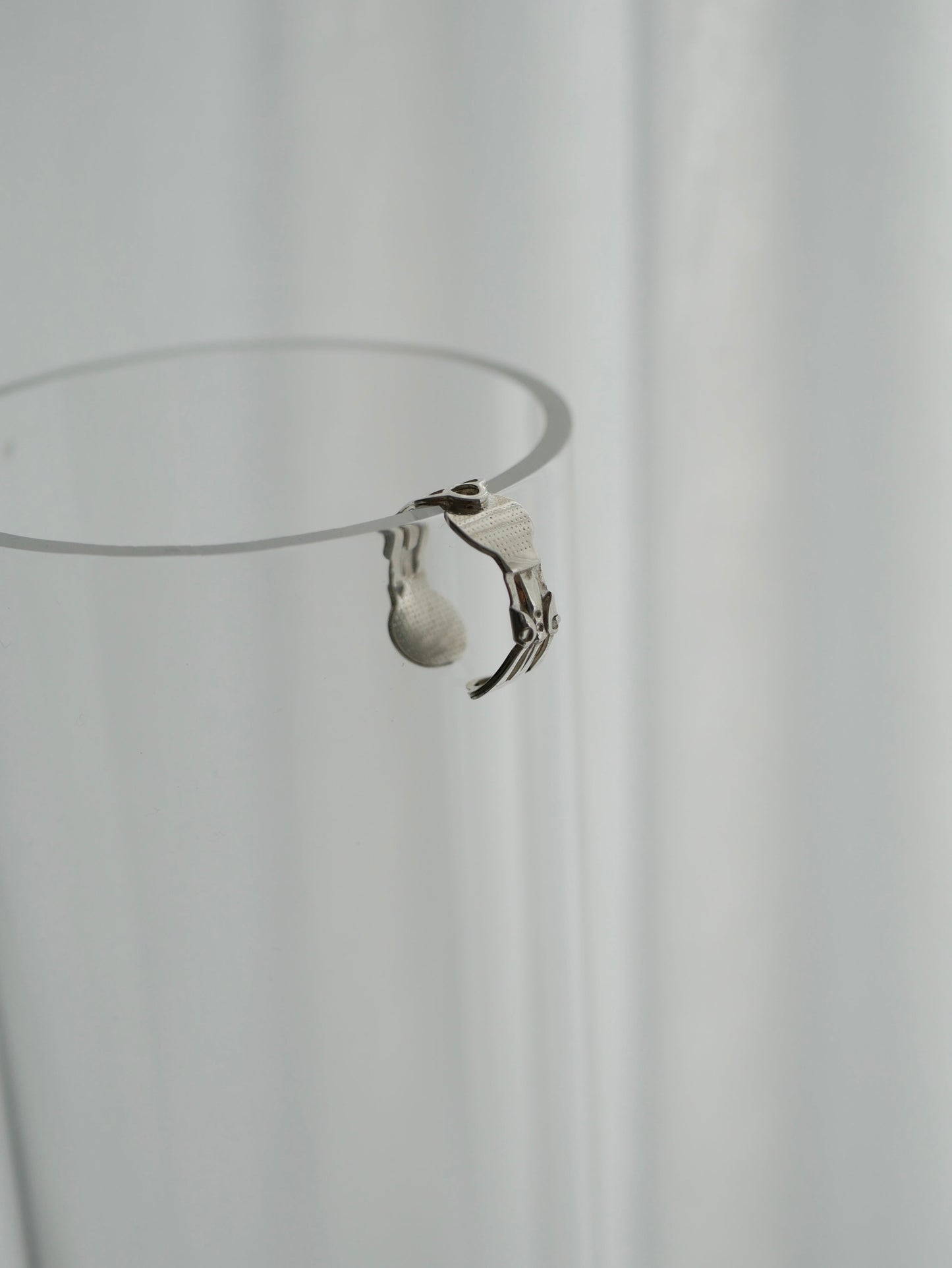 〔small article〕 Silver ear flat ring