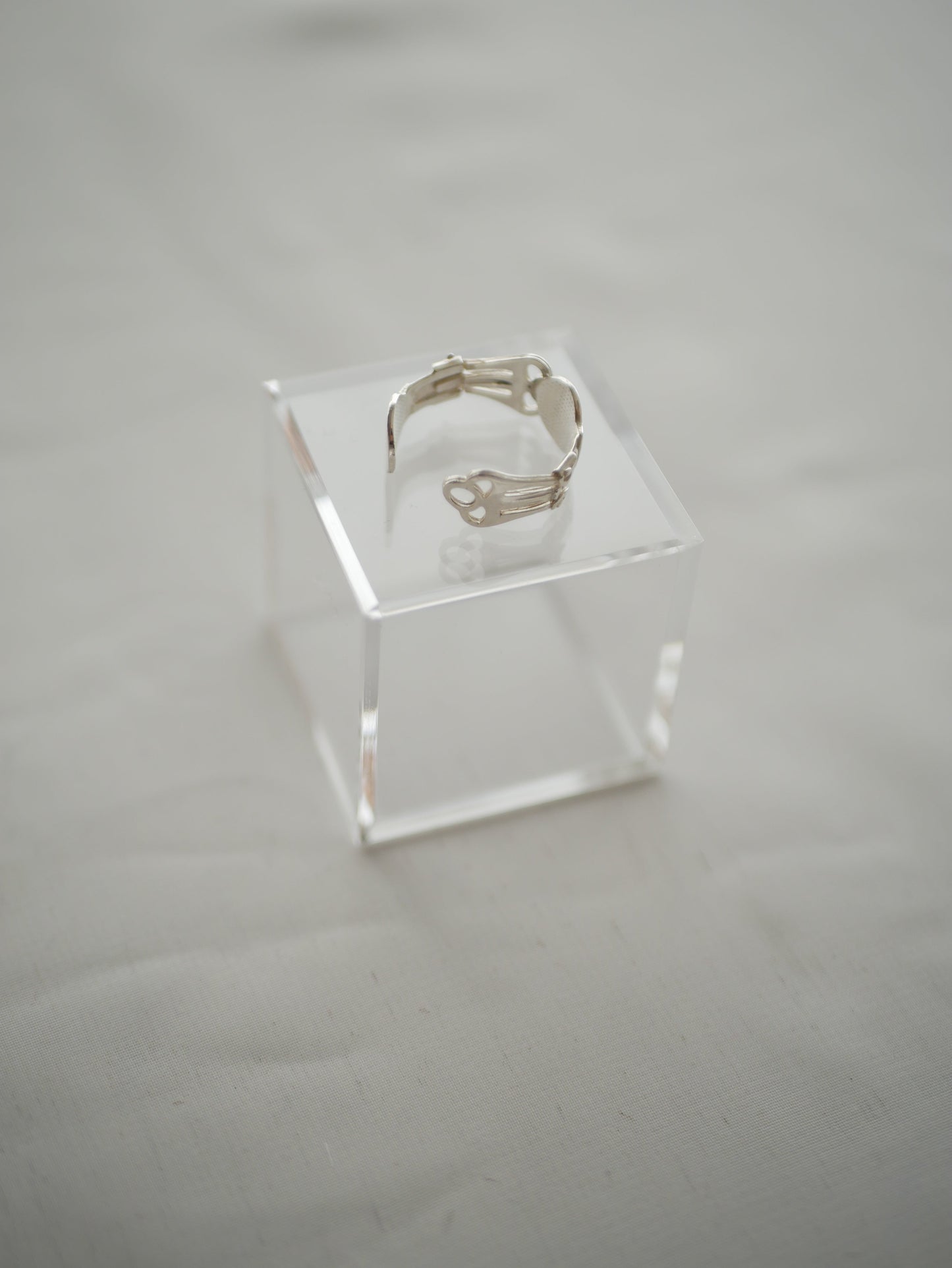 〔small article〕 Silver ear flat ring
