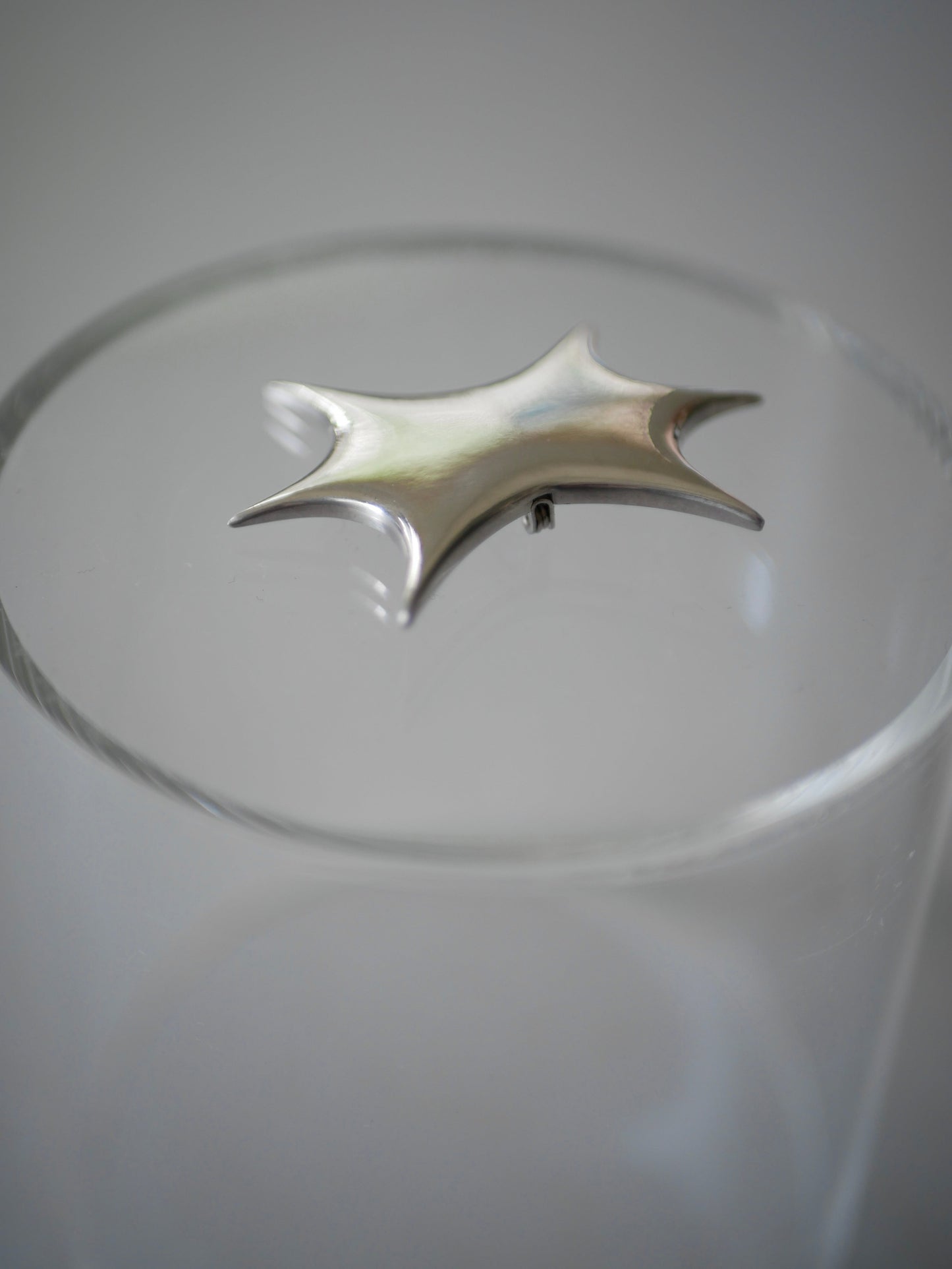【〜8/31迄受付】 Scoop light brooch 〔small article〕【受注生産】「すくい取った光の断片」