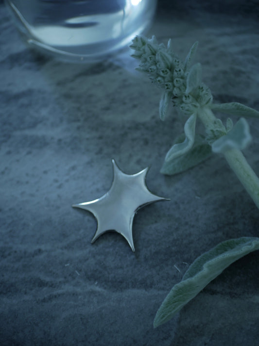 〔small article〕 Scoop light brooch「すくい取った光の断片」