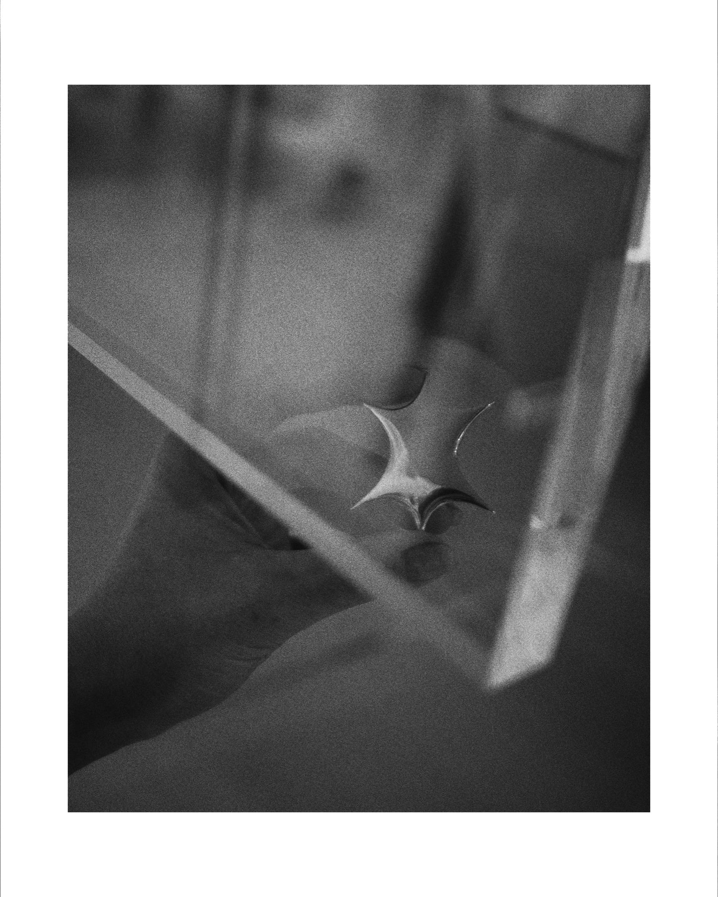 〔small article〕 Scoop light brooch「すくい取った光の断片」