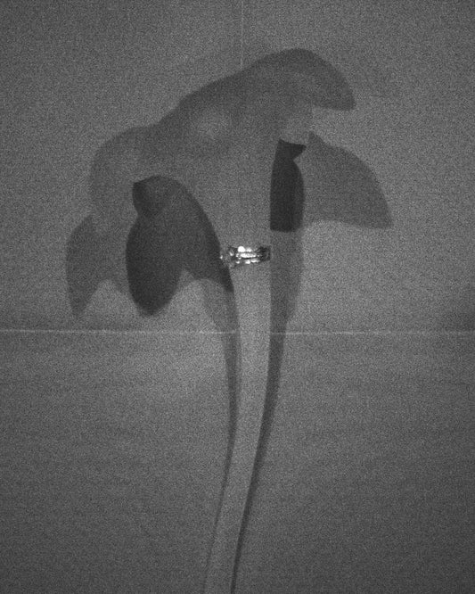 [Made to order - Orders accepted until December 31st] Silver ear flat ring [small article] "Memory of earrings"