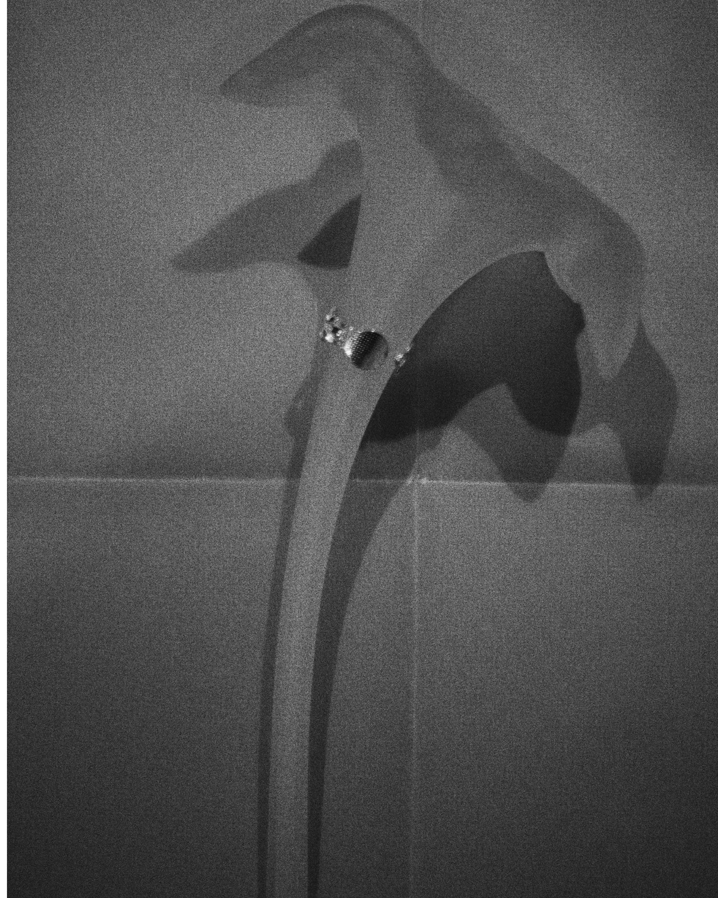 [Made to order - Orders accepted until December 31st] Silver ear flat ring [small article] "Memory of earrings"