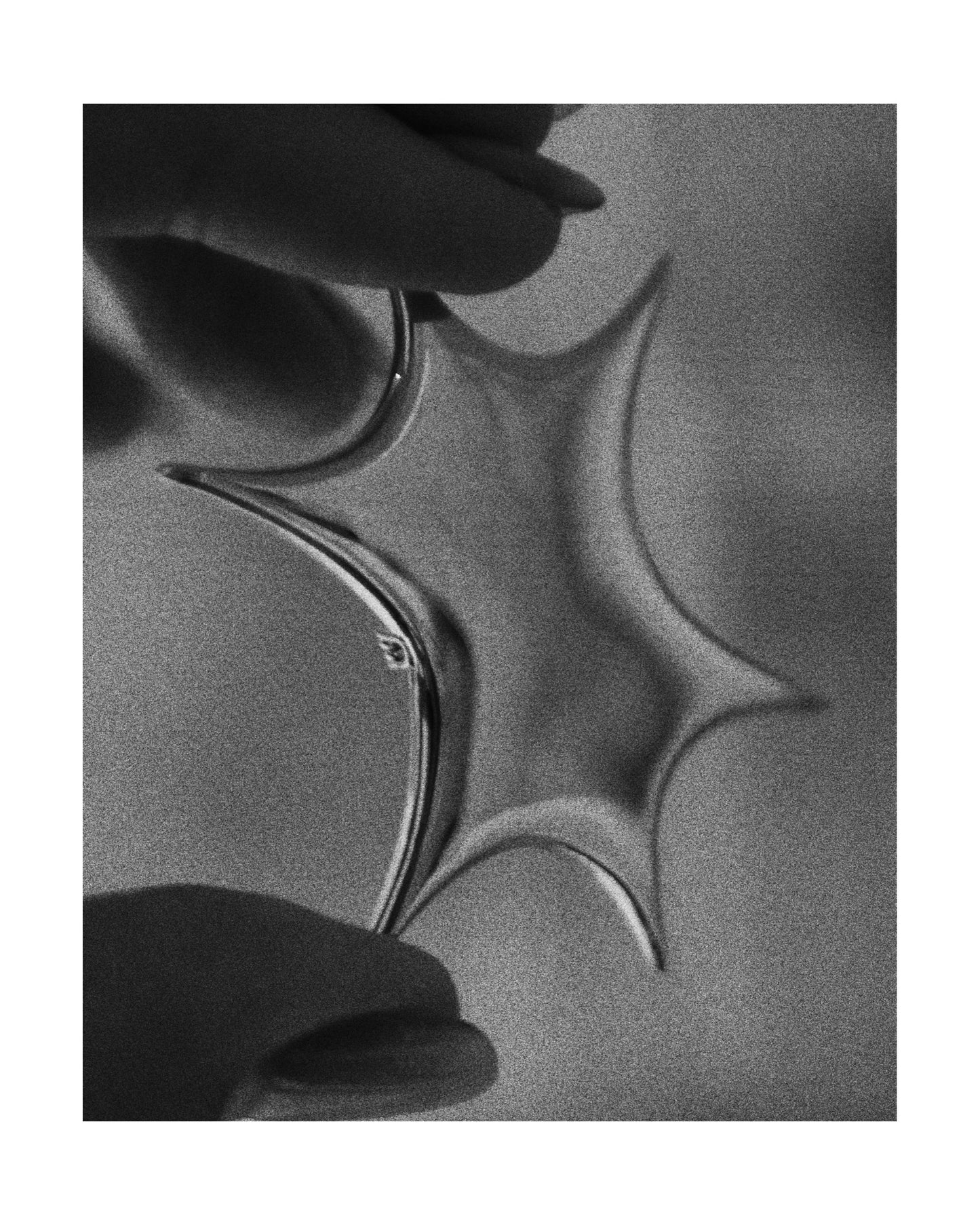 〔small article〕 Scoop light brooch「すくい取った光の断片」