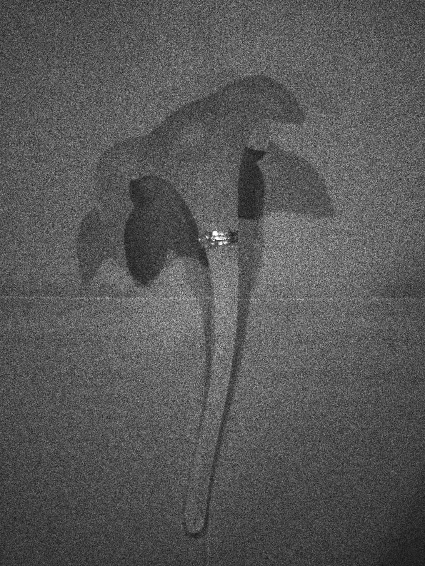 [Last one] [small article] Silver ear flat ring "Memory of earrings"