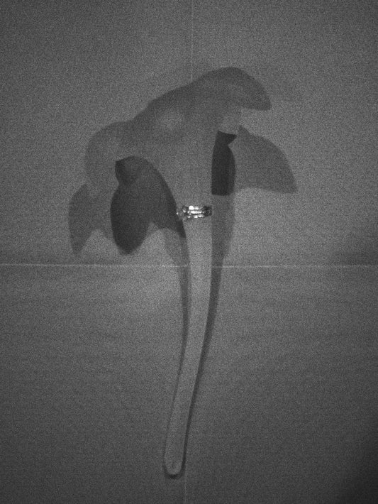 [Last one] [small article] Silver ear flat ring "Memory of earrings"